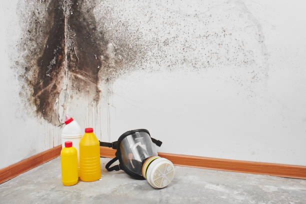 Swartz Creek, MI Mold Remediation Company