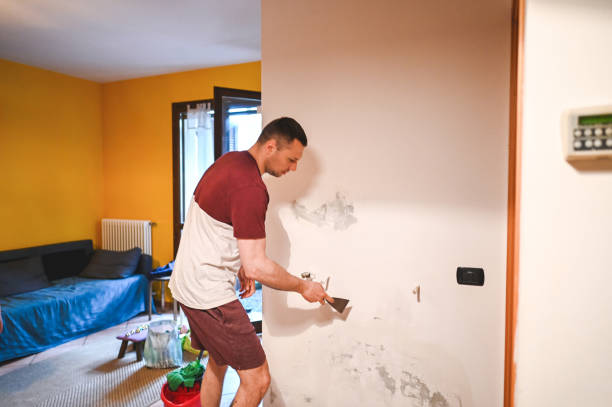 Best Mold Testing and Inspection Services in Swartz Creek, MI