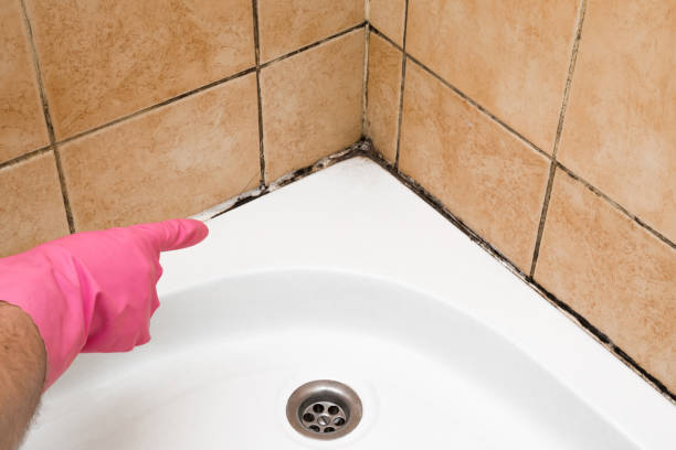 Swartz Creek, MI Mold Remediation Company